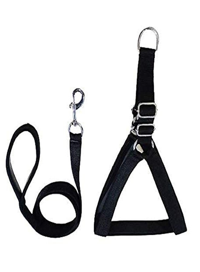 Pups&Pets Combo 1 inch Dog Adjustable Chest Belt Padded Body Harness with Leash for All Breed Dogs and Puppies (Black) - Medium - Image 1